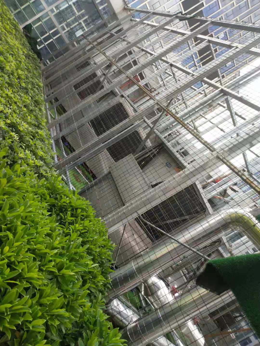 ���ݰ�԰���ʿյ��ŷ������